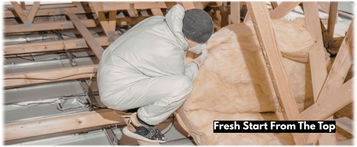 Attic Cleaning Chicago